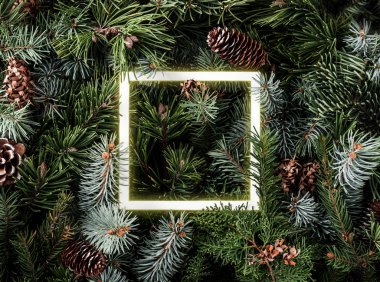 Çam kozalağı ve parlayan neon çerçeve ile Noel ağacı dalları yapılmış yaratıcı düzen. Xmas ve Yeni Yıl teması. Düz döşeme, üst görünüm