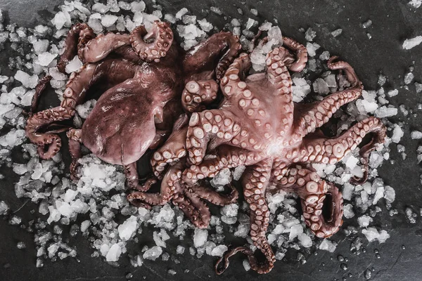 Zwei Ganze Frische Rohe Kraken Auf Eis Vor Schiefersteinhintergrund Meeresfrüchte — Stockfoto