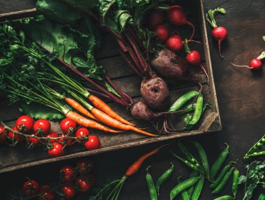Taze sebze, turp, domates, havuç, pancar, tahta kutuda bezelye. Taze hasat. Sağlıklı organik gıda, tarım, üst düzey görüş