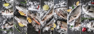 Çeşitli taze balık kolajı, beyaz balık pangasius, somon balığı, alabalık, dorado, buzlu sazan balığı ve siyah taş zemin üzerinde baharat. Deniz mahsullerinden oluşan yaratıcı düzen, üst görünüm