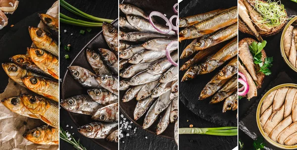 Potravinová Koláž Různých Uzených Solených Ryb Šprot Obecný Sardinky Makrela — Stock fotografie