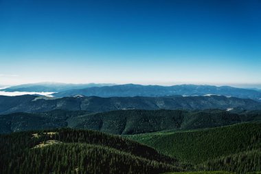 Majestic Carpathian sıradağları. Dağ yamaçlarının yeşil kozalaklı manzarası. Mavi gökyüzü güneşli. Seyahat arkaplanı