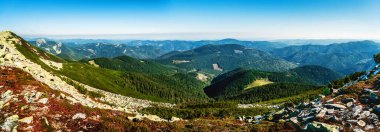 Majestic Carpathian sıradağları. Dağ yamaçlarının yeşil kozalaklı manzarası. Mavi gökyüzü güneşli. Seyahat arkaplanı