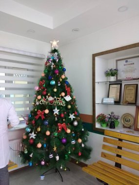 Moğolluların Noel zamanı