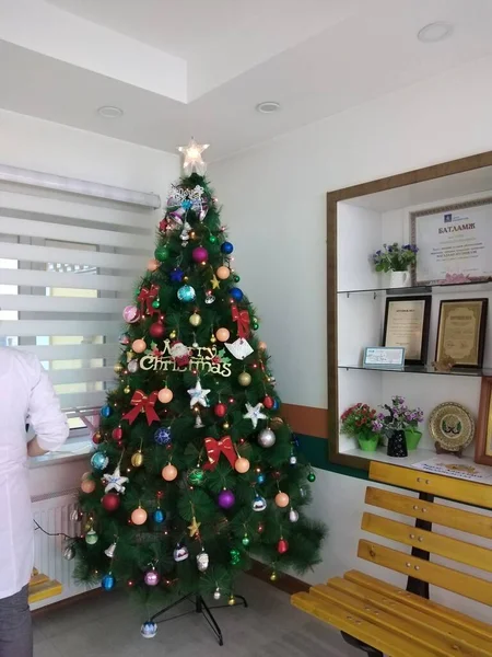 Moğolluların Noel zamanı