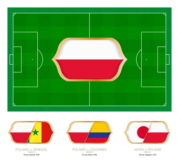 Todos Los Partidos Por Equipo Fútbol Polonia Grupo — Vector de stock