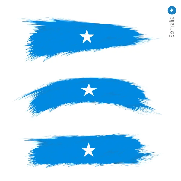 Σετ Grunge Ελαστικοποιημένων Σημαία Της Σομαλίας Τρεις Εκδόσεις Της Εθνική — Διανυσματικό Αρχείο