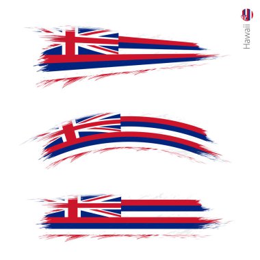 3 grunge dokulu bayrak bize devlet Hawaii tarzı boyalı fırça darbeleri devlet bayrağı üç sürümü ayarlayın. Vektör bayrakları.