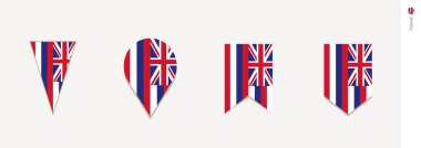 Hawaii bayrak dikey tasarım, vektör çizim.