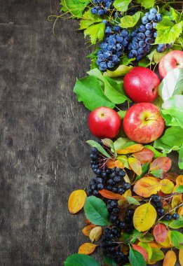 Ürün yelpazesine organik meyve çilek elma üzüm Şam rowanberry koyu ahşap ülke arka plan sağlık doğal kavramı Üstten Görünüm