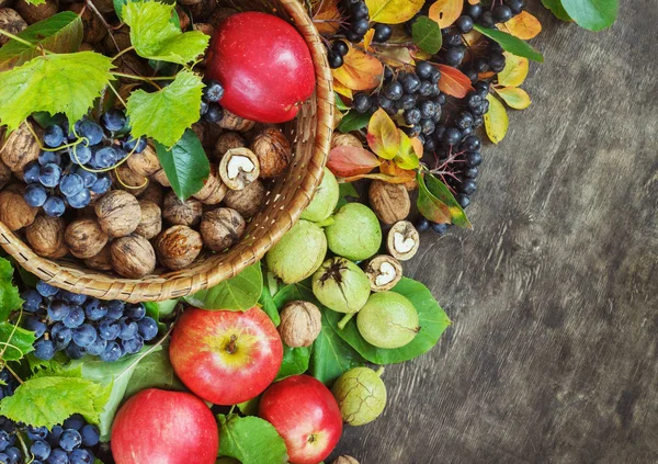 Sortimento frutas orgânicas bagas maçã uva damasceno noz rowanberry escuro madeira país fundo saúde cuidado natural conceito vista superior — Fotografia de Stock