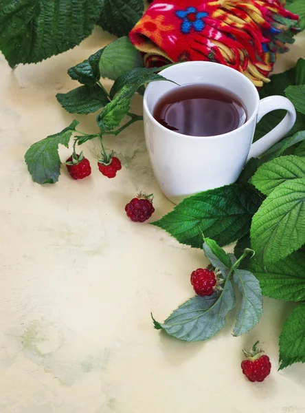 Малиновый чай с листьями и малиной, теплый шарф на светлом фоне — стоковое фото