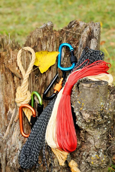 Metal carabine and rope for mountaineering. Photo of colored carabines and rope. Climbing concept