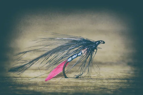 Fly fishing lure retro style — Stock Photo, Image