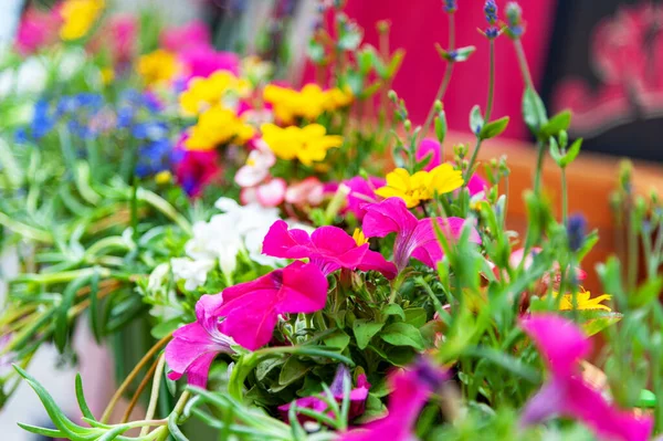 Kwiaty Tarasie Restauracji — Zdjęcie stockowe