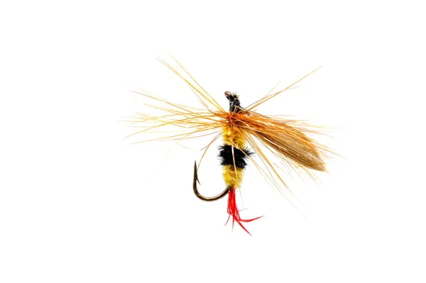 Close Colorful Fishing Fly White Background — Stock Photo, Image