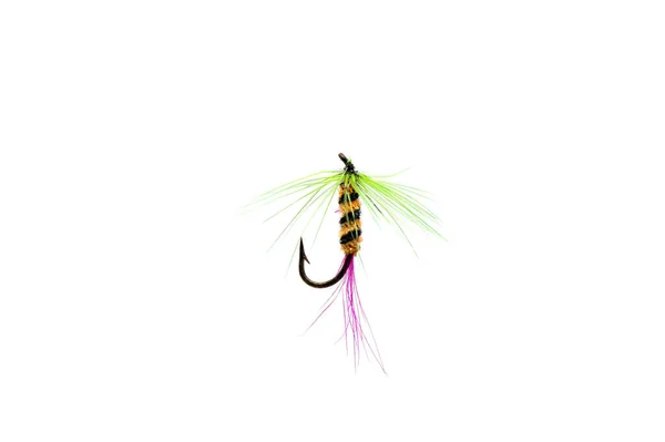 Close Colorful Fishing Fly White Background — Stock Photo, Image