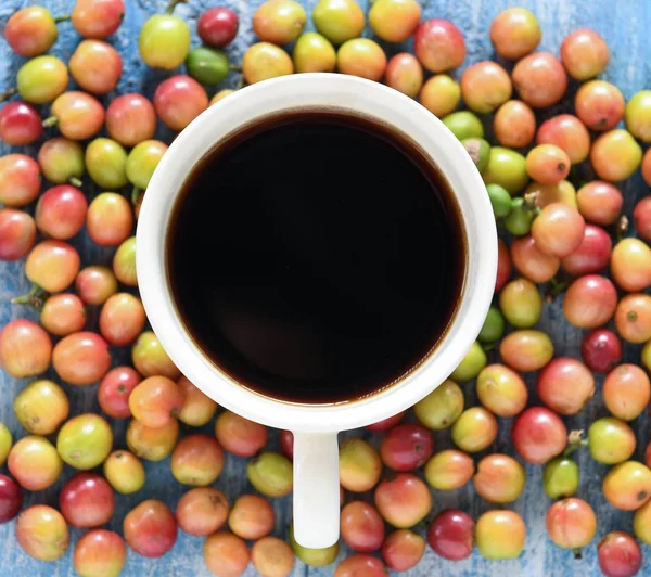 Kahve Fincanında Taze Kahve Çekirdeği — Stok fotoğraf