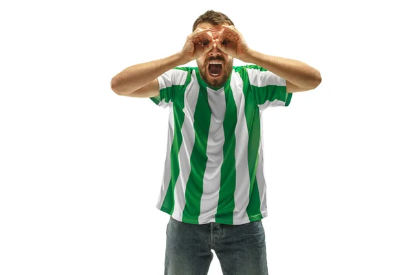 Abanico irlandés celebrando sobre fondo blanco — Foto de Stock