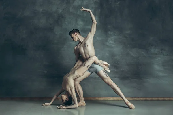 Para penari balet modern muda berpose di latar belakang studio abu-abu — Stok Foto
