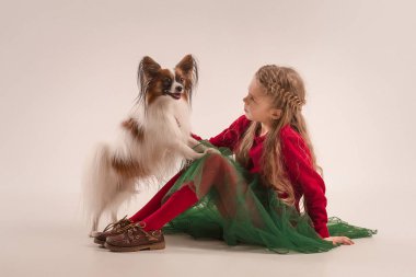 Stüdyo portre esneme ve küçük bir köpek yavrusu Papillon