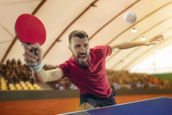 El jugador de tenis de mesa que sirve —  Fotos de Stock