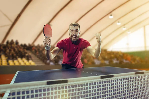 El jugador de tenis de mesa celebrando la victoria —  Fotos de Stock
