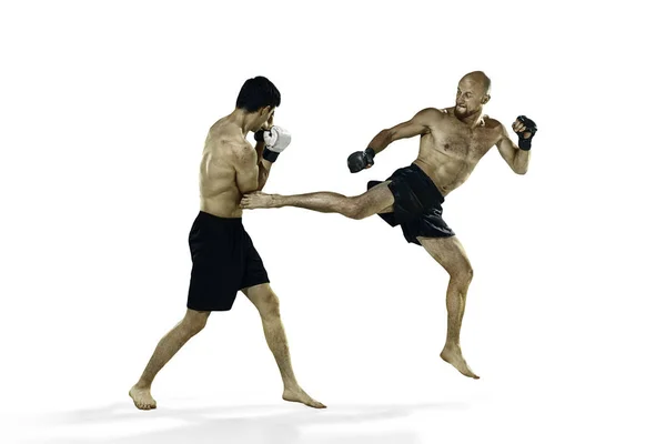Dwie bokser zawodowy Boks na białym tle na tle białego studia — Zdjęcie stockowe