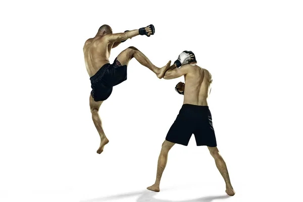 Two professional boxer boxing isolated on white studio background — Stock Photo, Image