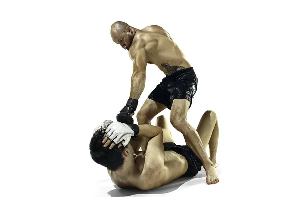 ホワイト スタジオの背景に分離されたボクシングの 2 つのプロのボクサー — ストック写真