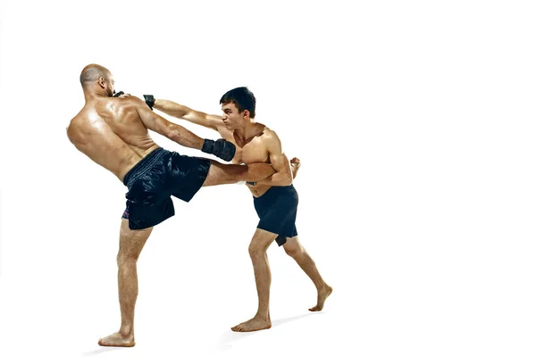 Dois boxeador profissional boxe isolado no fundo do estúdio branco — Fotografia de Stock