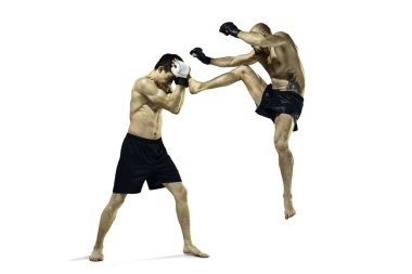 Beyaz stüdyo arka plan üzerinde iki profesyonel boksör boks izole