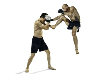 Beyaz stüdyo arka plan üzerinde iki profesyonel boksör boks izole