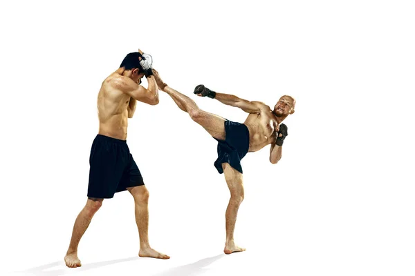Deux boxeurs professionnels isolés sur fond de studio blanc — Photo