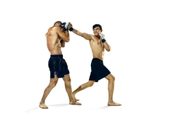 Twee bokser boksen geïsoleerd op witte studio achtergrond — Stockfoto