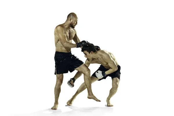 Kaksi ammatillinen nyrkkeilijä nyrkkeily eristetty valkoinen studio tausta — kuvapankkivalokuva