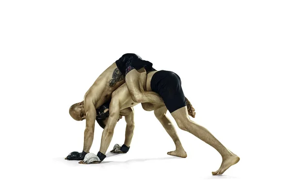 두 프로 권투 선수 권투 화이트 스튜디오 배경에 고립 — 스톡 사진