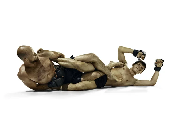 Dva profesionální boxer boxu izolované na bílém studio pozadí — Stock fotografie