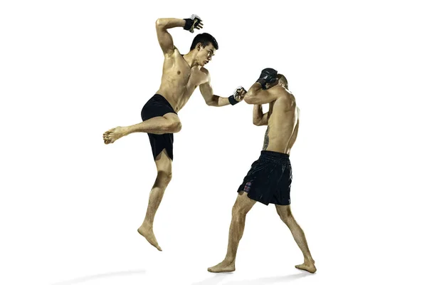 두 프로 권투 선수 권투 화이트 스튜디오 배경에 고립 — 스톡 사진