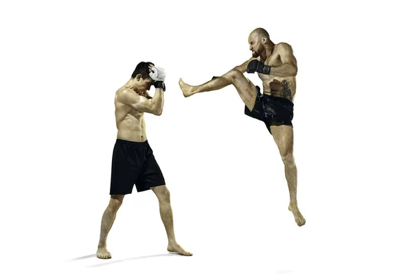 Kaksi ammatillinen nyrkkeilijä nyrkkeily eristetty valkoinen studio tausta — kuvapankkivalokuva