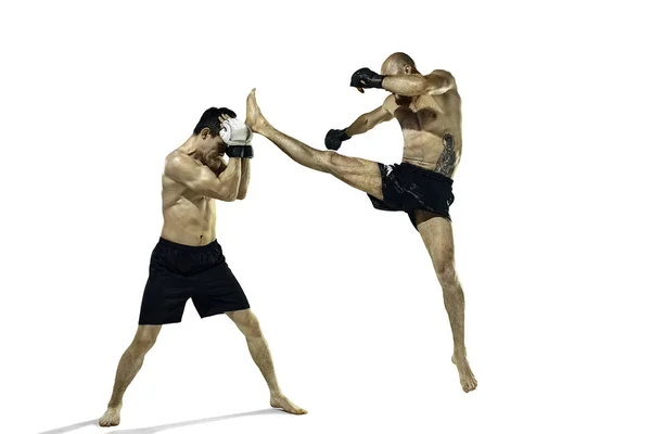 Två professionella boxare boxning isolerade på vita studio bakgrund — Stockfoto