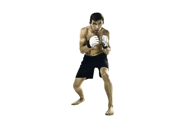 ホワイト スタジオの背景に分離されたボクシングのプロのボクサー — ストック写真