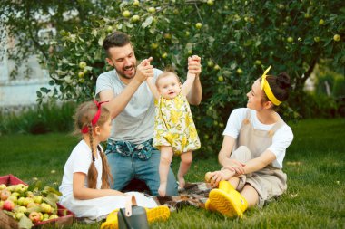 Bir bahçede açık havada elma toplama sırasında mutlu genç Aile