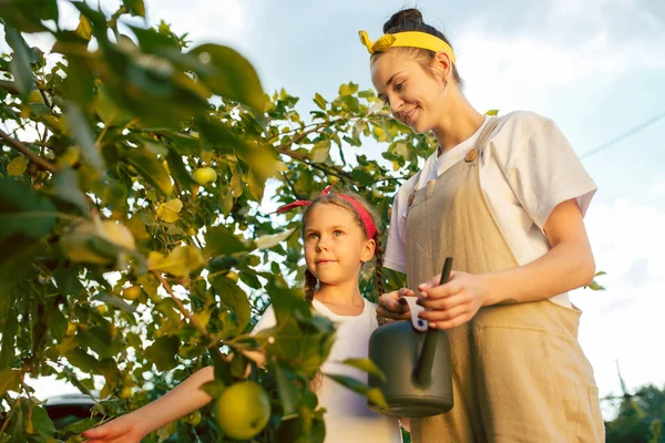 Die glückliche junge Familie beim Apfelpflücken im Garten — Stockfoto