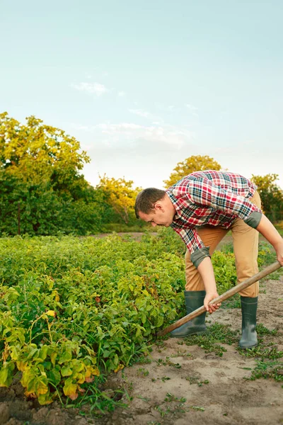 Agricultura, jardinería, agricultura y concepto de personas  - — Foto de Stock