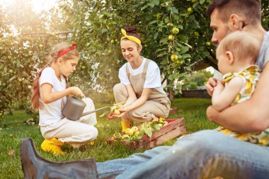 Bir bahçede açık havada elma toplama sırasında mutlu genç Aile