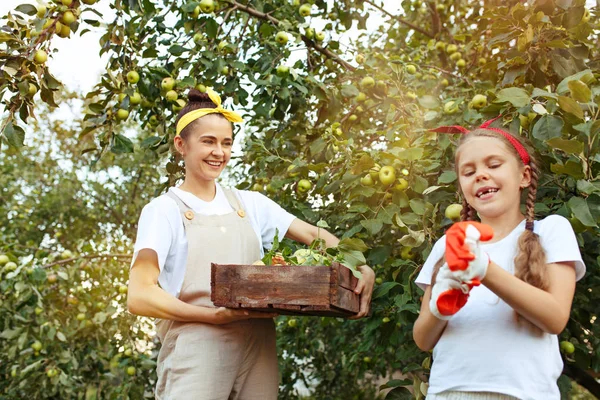 La familia joven feliz durante la recolección de manzanas en un jardín al aire libre — Foto de Stock