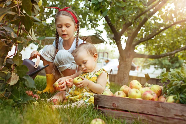 Das fröhliche junge Girlandbaby beim Apfelpflücken im Garten — Stockfoto