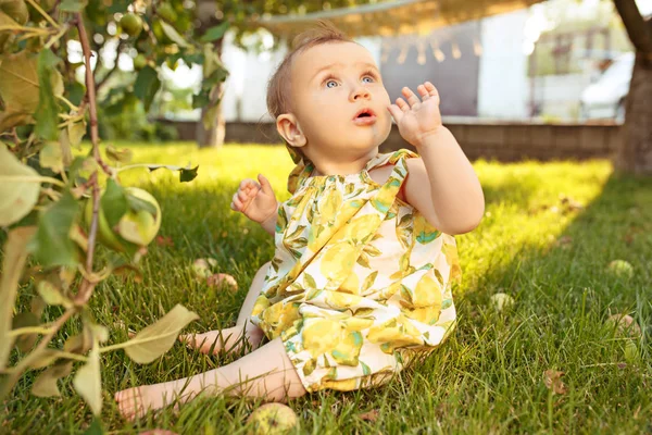 Szczęśliwa dziewczynka podczas zbieranie jabłek w ogrodzie na zewnątrz — Zdjęcie stockowe
