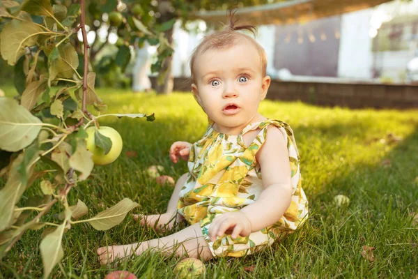 La niña feliz durante la recolección de manzanas en un jardín al aire libre — Foto de Stock